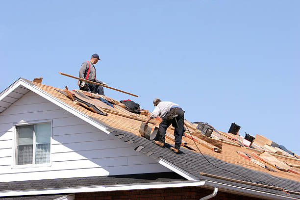 Best Green or Eco-Friendly Roofing Solutions  in Morrisville, PA